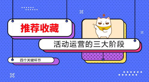 活动运营的三大阶段与四个关键环节